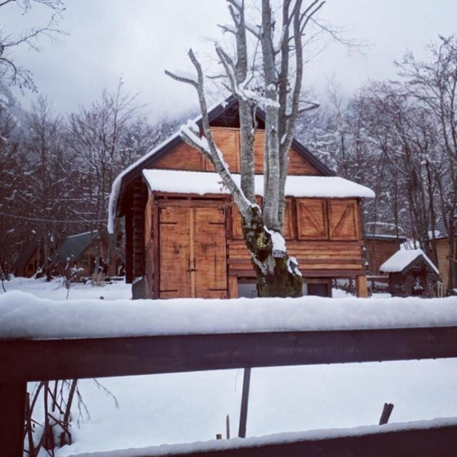 Bungalows Prokletije Gusinje Exterior photo