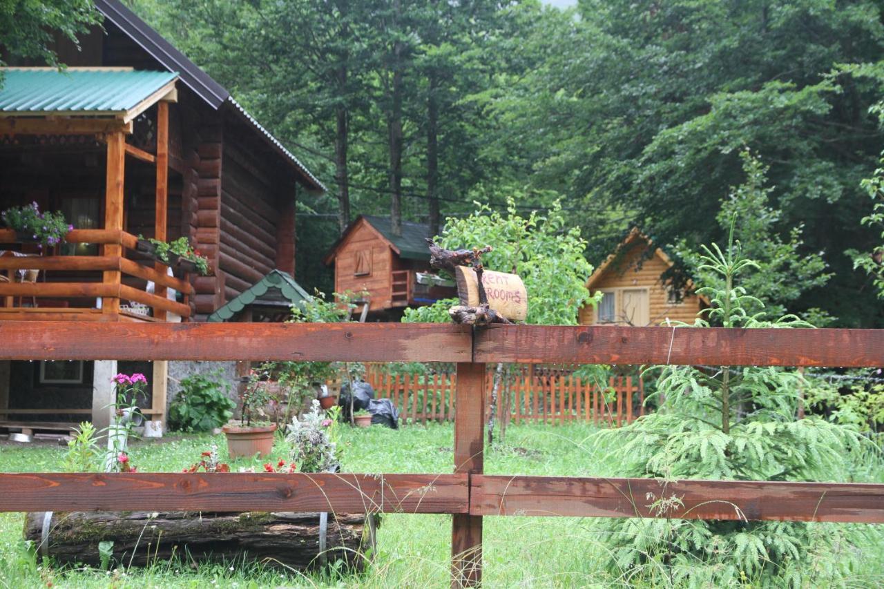 Bungalows Prokletije Gusinje Exterior photo