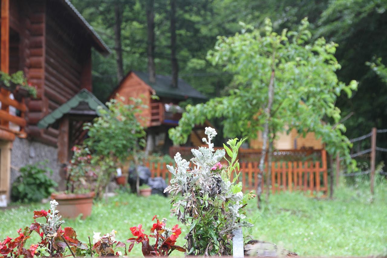 Bungalows Prokletije Gusinje Exterior photo